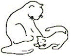 Paws and Whiskers Cat Shelter, Inc.